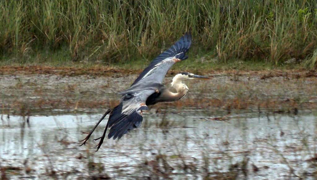 Everglades Reservoir Contracts Fully Executed as Completion Target Moves to 2029