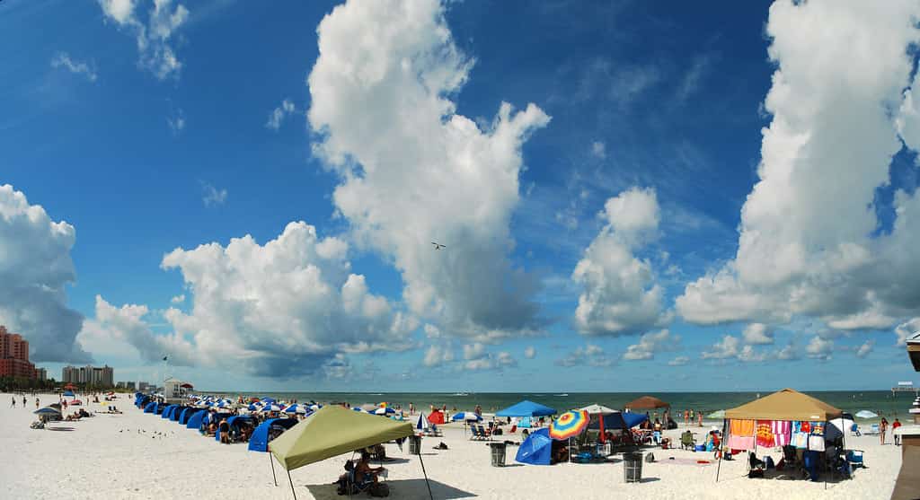 Clearwater Police Issue Six Warrants After 'Teen Takeover' on the Beach Ends in Gunfire