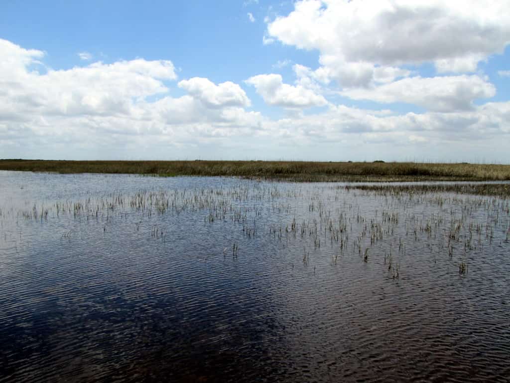 Florida Has Collected $84.5 Million of a $608 Million Federal Grant