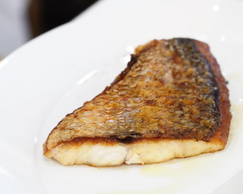 DeSantis Announces Expanded 2026 Red Snapper Seasons as Florida Wins Federal Management Approval