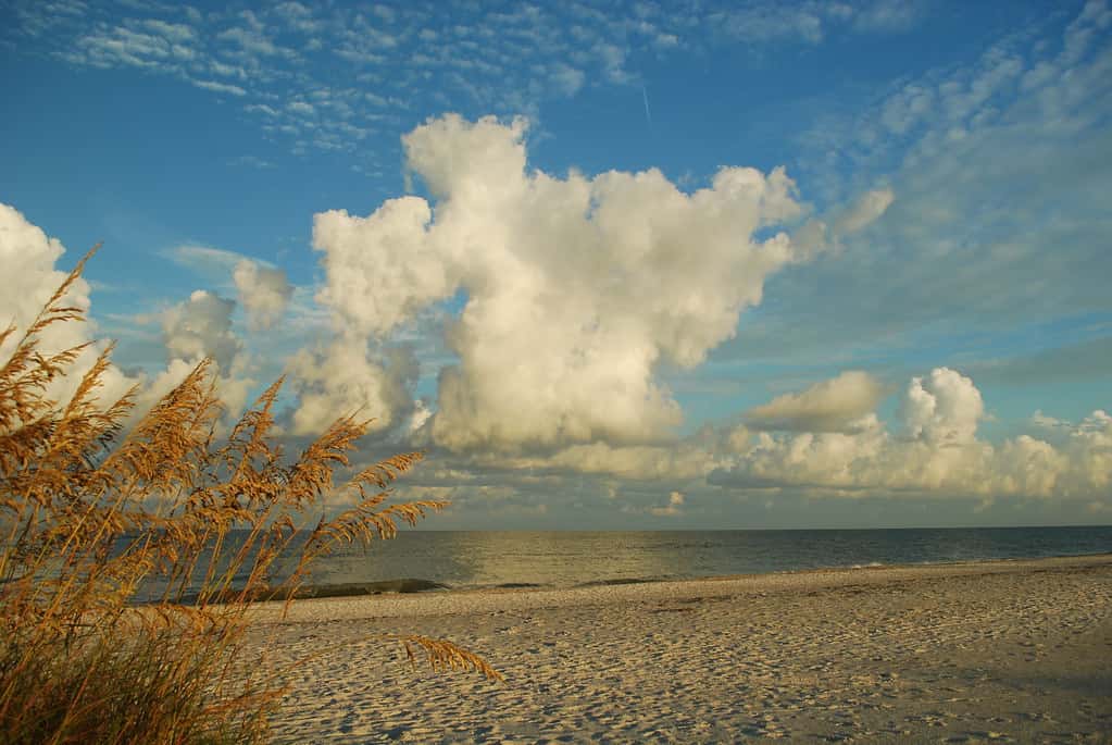Record July 4th Travel Expected as Florida Draws Holiday Crowds to Parks and Beaches