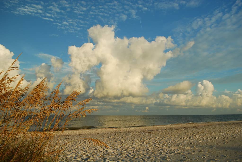 Record July 4th Travel Expected as Florida Draws Holiday Crowds to Parks and Beaches
