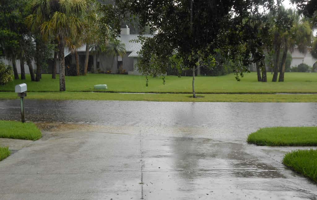 Heavy Rain and Flooding Threat Spreads Across Florida as Bertha Organizes