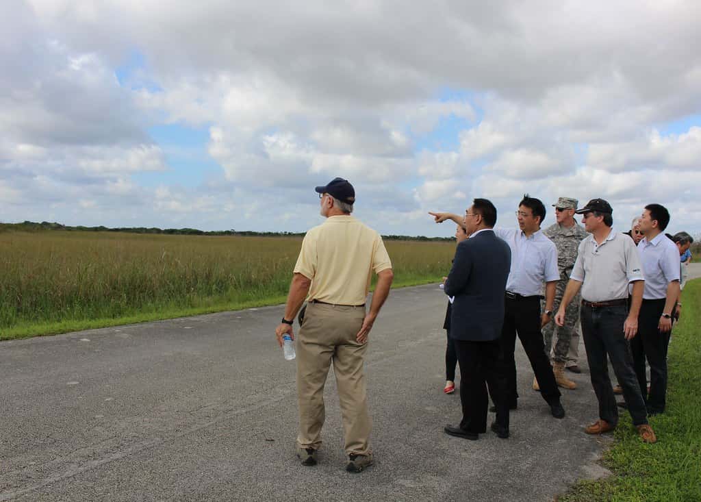 Florida's Python Challenge Returns in July With $25,000 in Prizes for Everglades Hunters