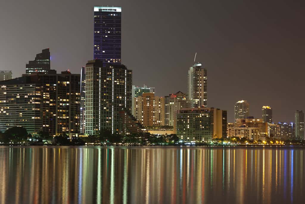 Most Florida Small Businesses Now Use AI, and Most of Them Report Higher Revenue