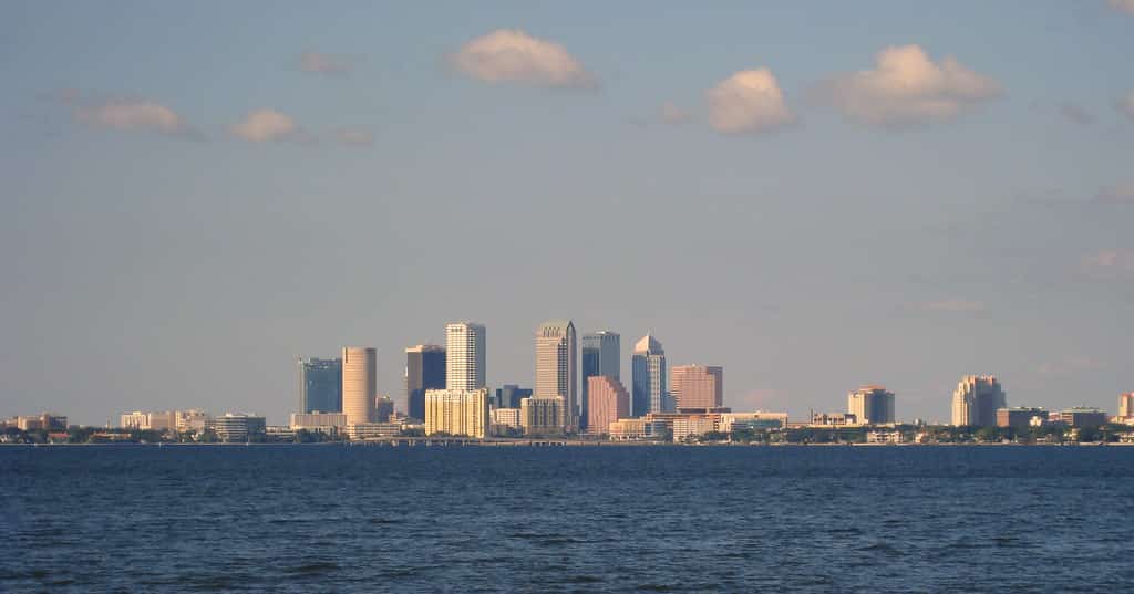 Tampa Bay Wave Ranked Third-Best Startup Accelerator in the Country by TIME