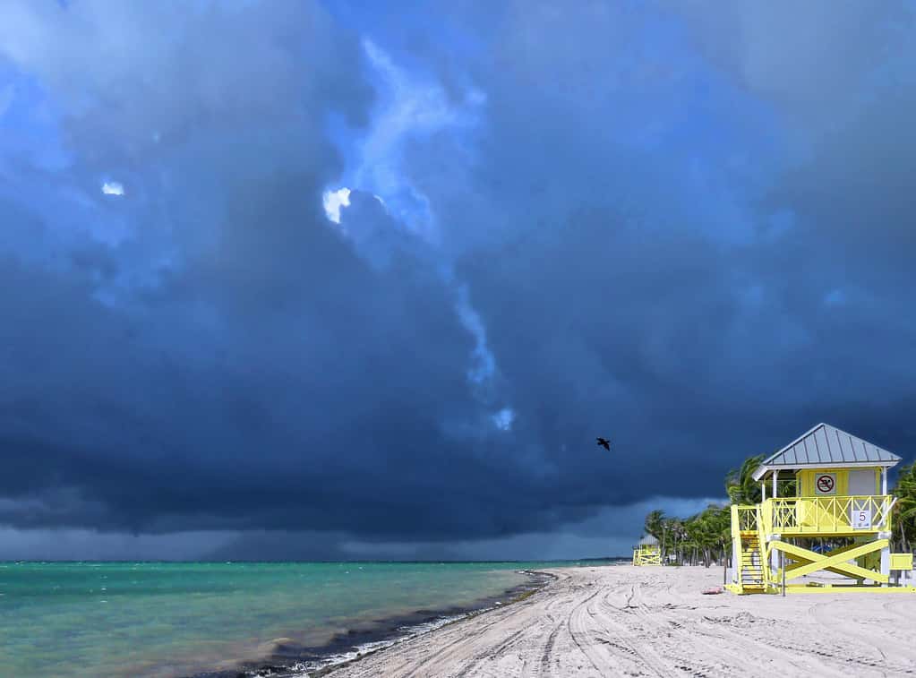 Florida's First Fall Cold Front Delivers Cooler Air and Strong Coastal Winds as a Nor'easter Develops Offshore