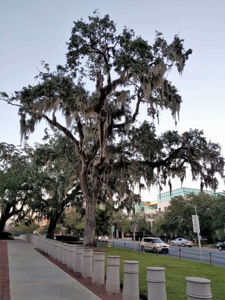 Leaked Hope Florida Grand Jury Report Finds $10 Million in Taxpayer Money Was Misappropriated