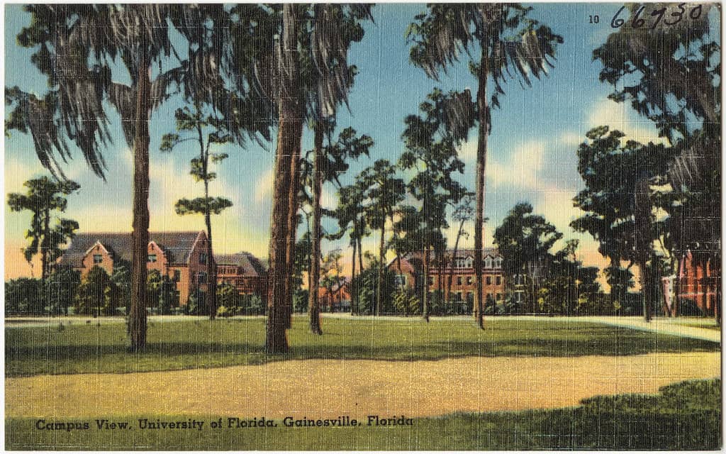 Florida Board of Governors Bars Undocumented Students From Public Universities Starting in 2027-2028