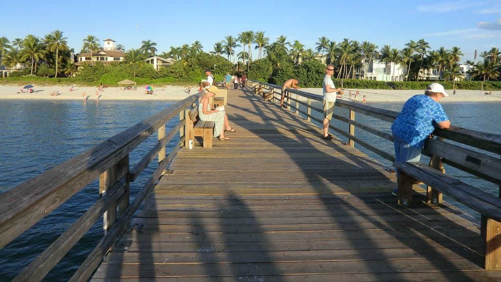Florida's Red Tide Stays at Bay This Summer as New Tools Track Gulf Blooms