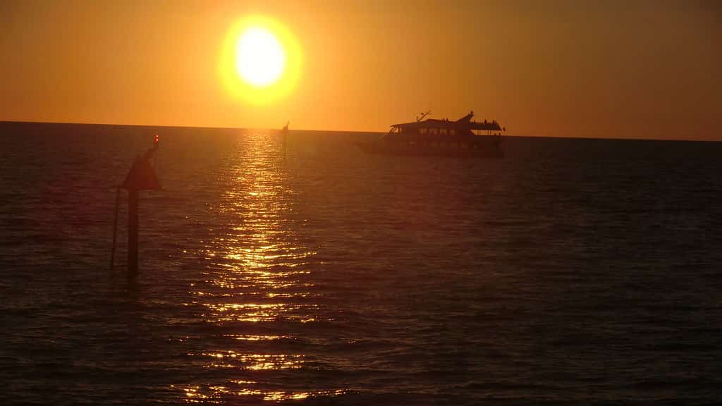 Florida Reports at Least Nine 'Flesh-Eating' Vibrio Cases in 2026 as Warm Waters Return