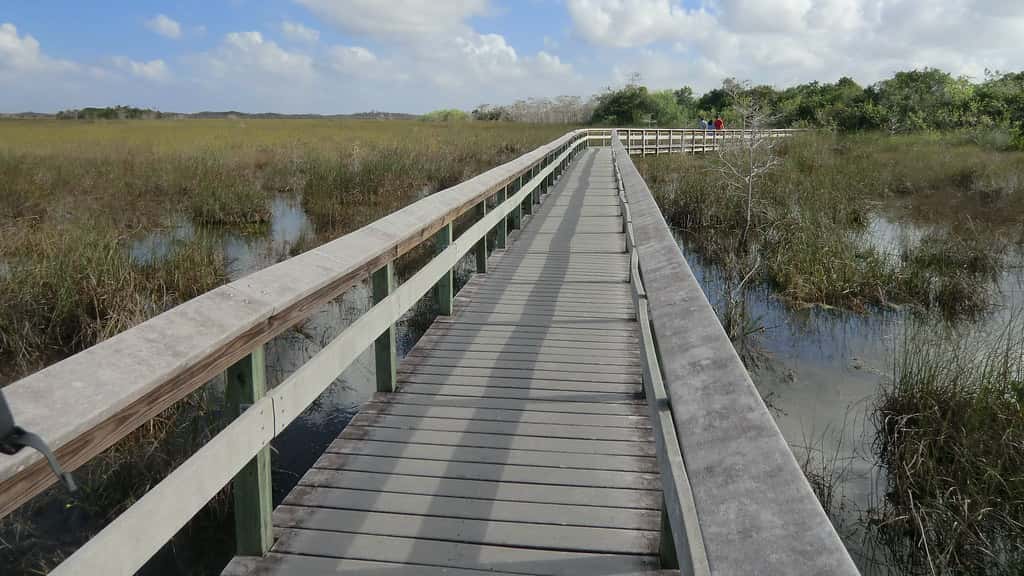 Florida's 'Alligator Alcatraz' Winds Down as Detainees Are Moved Out and the Everglades Site Faces Demolition