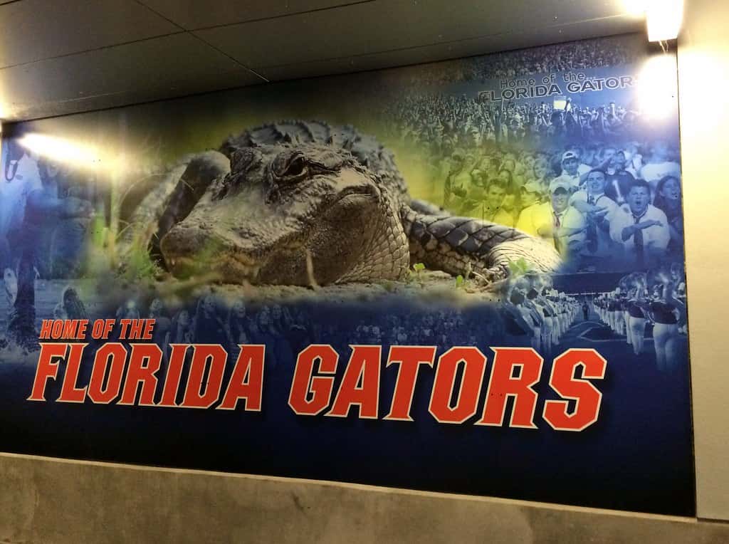 No Florida Team in Omaha as College World Series Opens Without the State's Powerhouses