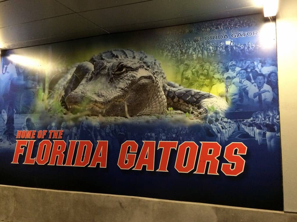 New Coaches, New Questions as Florida College Football Camps Open