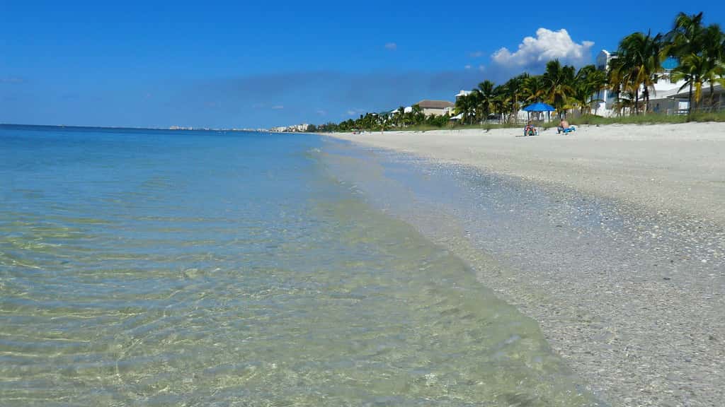 Red Tide Holds at Background Levels Along Florida's Gulf Coast Entering Bloom Season