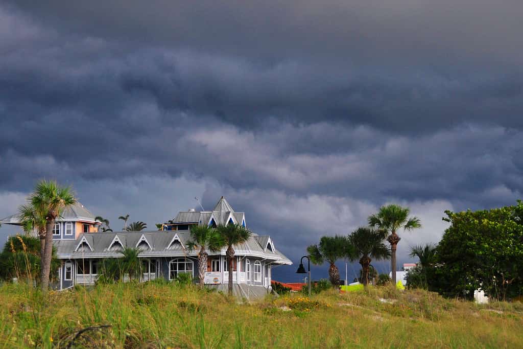 The El Nino Shutting Down Atlantic Storms Is Also Setting Up an Unusual Florida Winter
