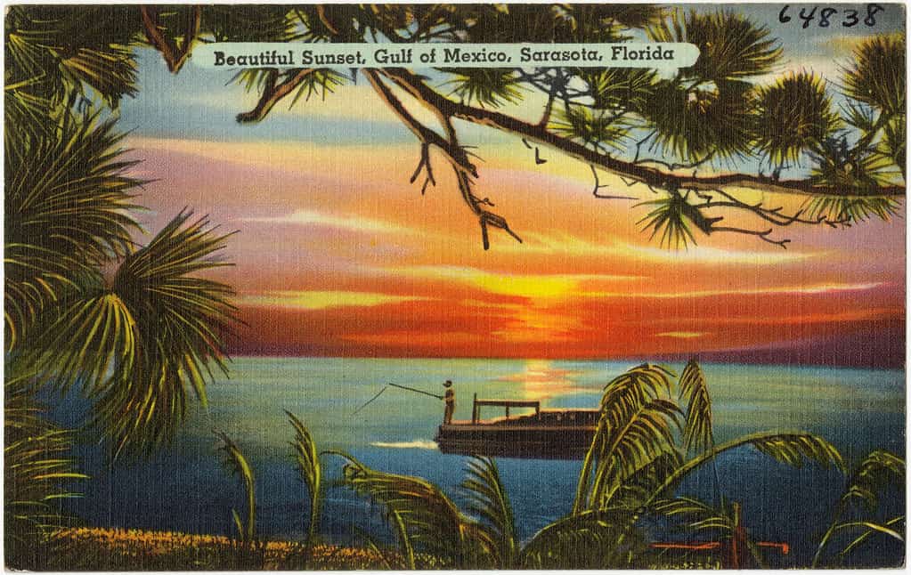 Red Tide Absent From Florida Waters as FWC Reports a Clear Week