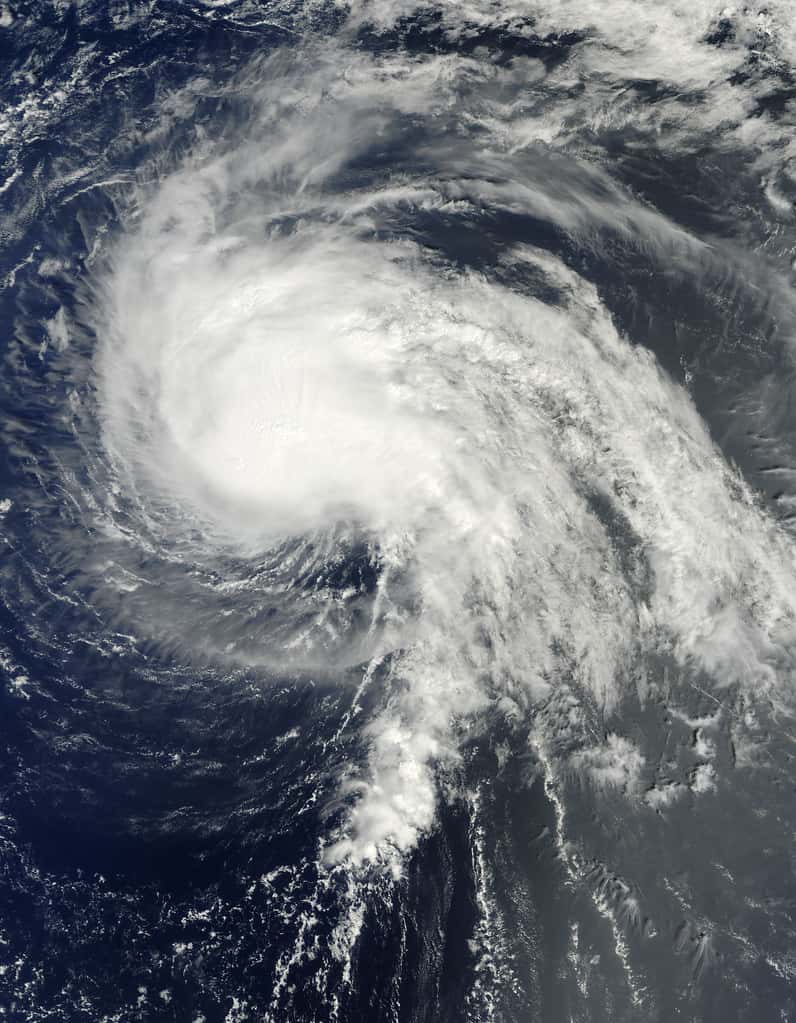 Florida Marks Preparedness Month at the Peak of a Quiet Hurricane Season