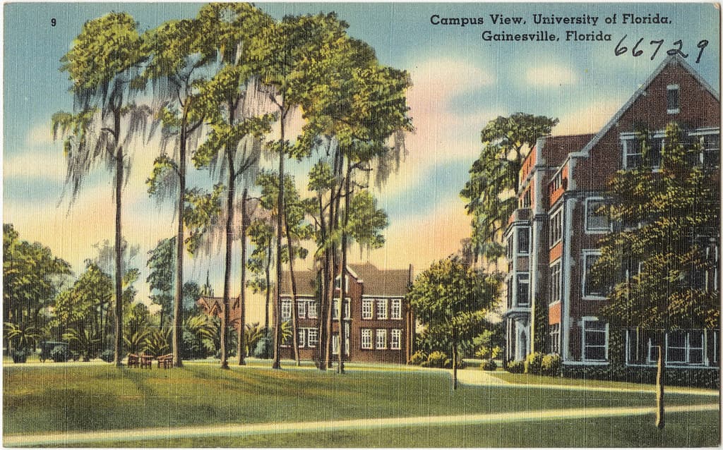 GOP Higher Education Overhaul Reshapes UF Presidential Search and Accreditation