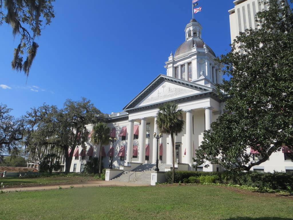 Florida's Senate Special Election Tightens as Angie Nixon Pulls Even With Ashley Moody in New Polling