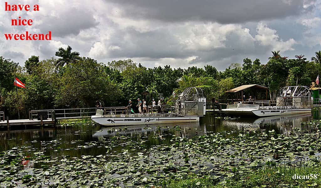 Florida Seeks Sites for Five or More Detention Facilities South of I-4