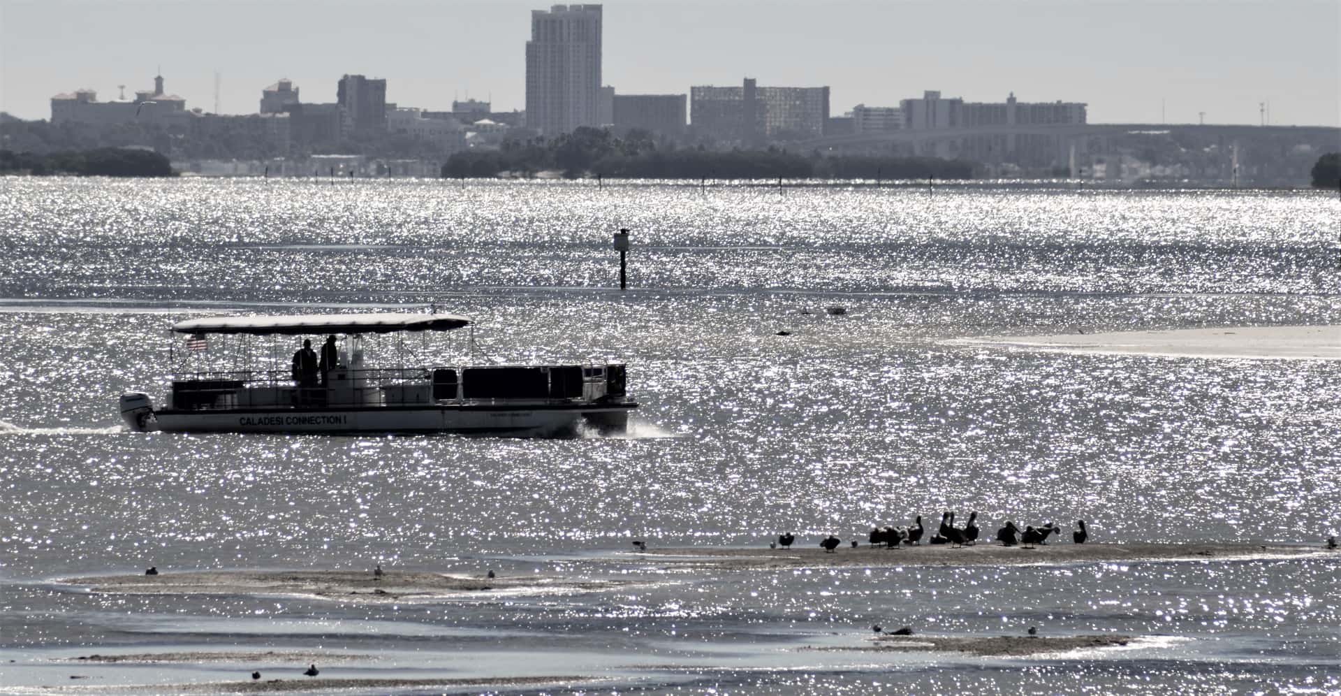 Judge Weighs Whether Jurors Can Hear About Jeff Knight's 2019 Boat Crash in Clearwater Ferry Case