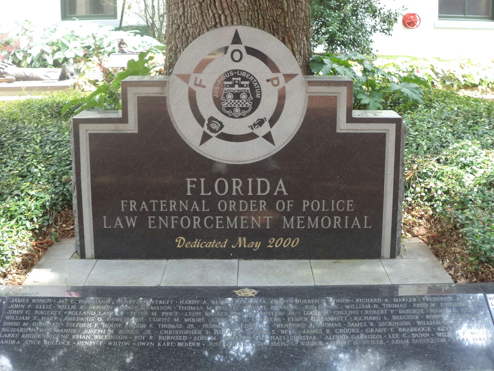 Florida Budget Panel Directs New Money to Immigration Enforcement