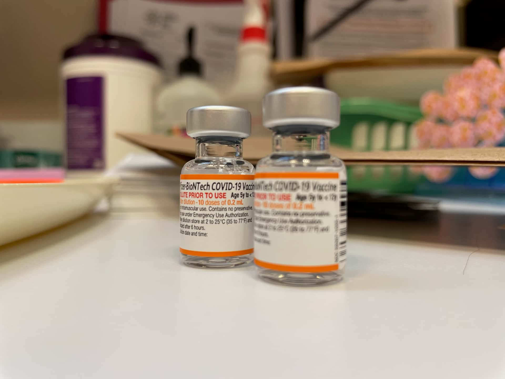 Florida Ranks Among Top States for Measles Cases in a Record National Year