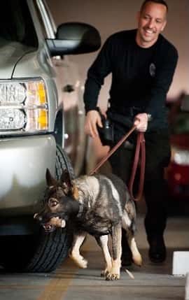 FDLE Undercover Operations Lead to Child Exploitation Arrests
