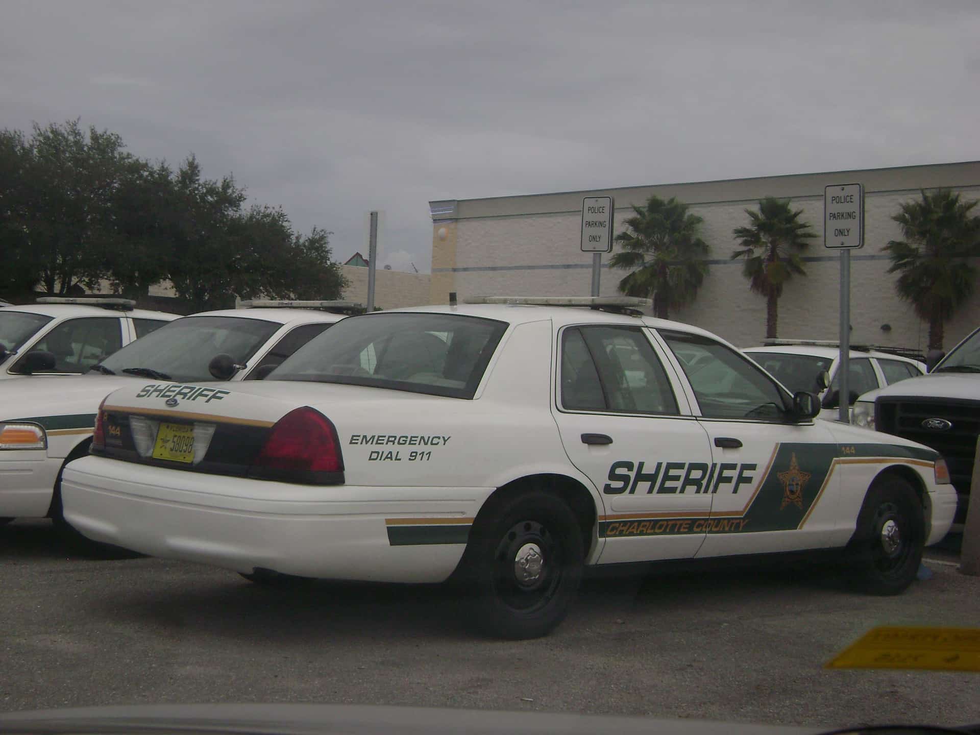 Florida Sheriffs Bust Power Tool Theft Ring in Operation Hammer Time