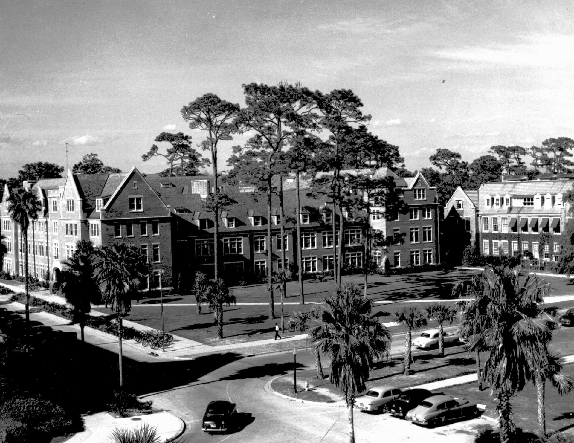 Florida's Flagship Universities Lose Preeminence Funding as FSU, UF Mark Milestones