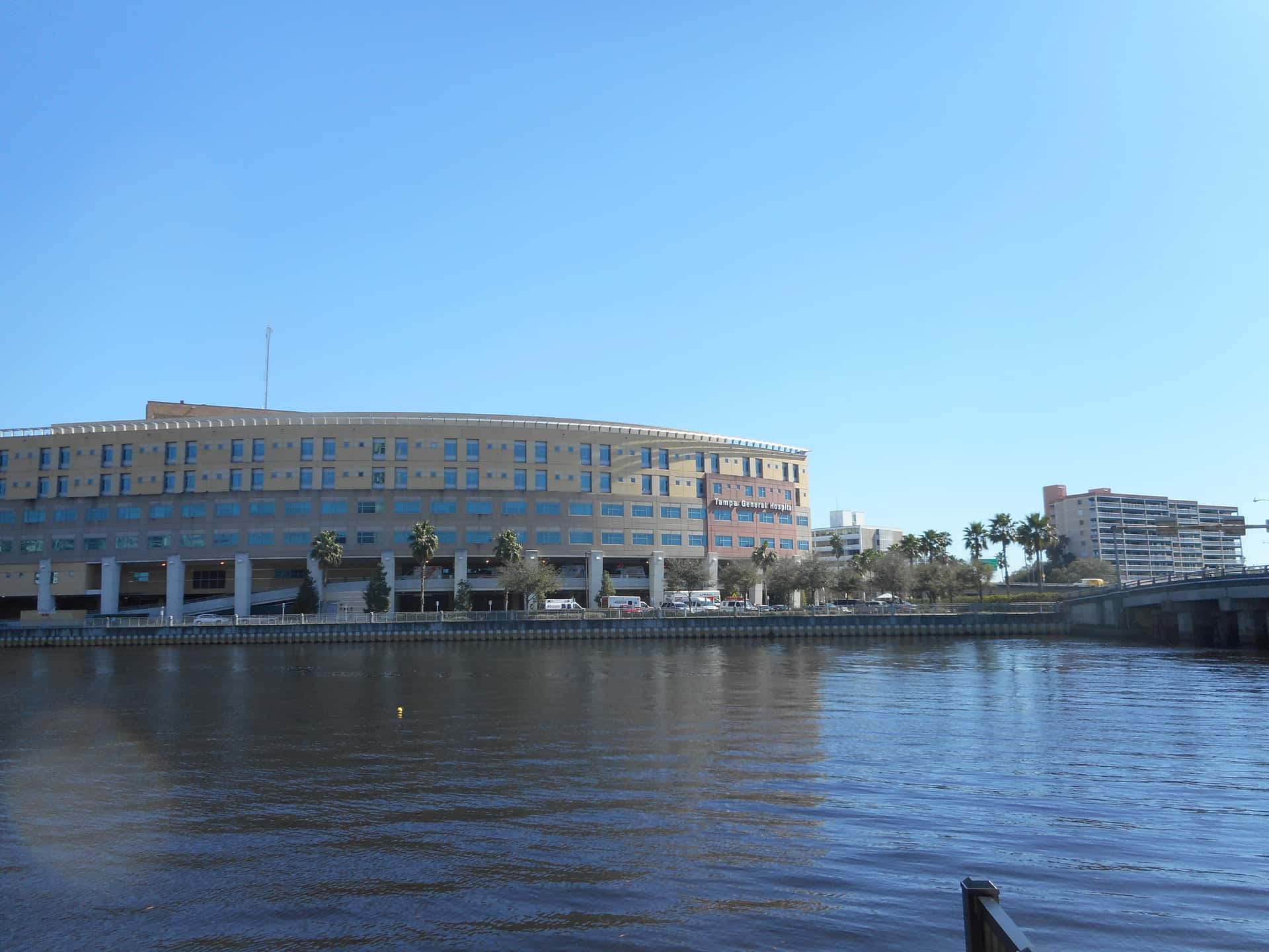 Tampa General Hospital Hits 15,000 Organ Transplants, Joins Elite National Club