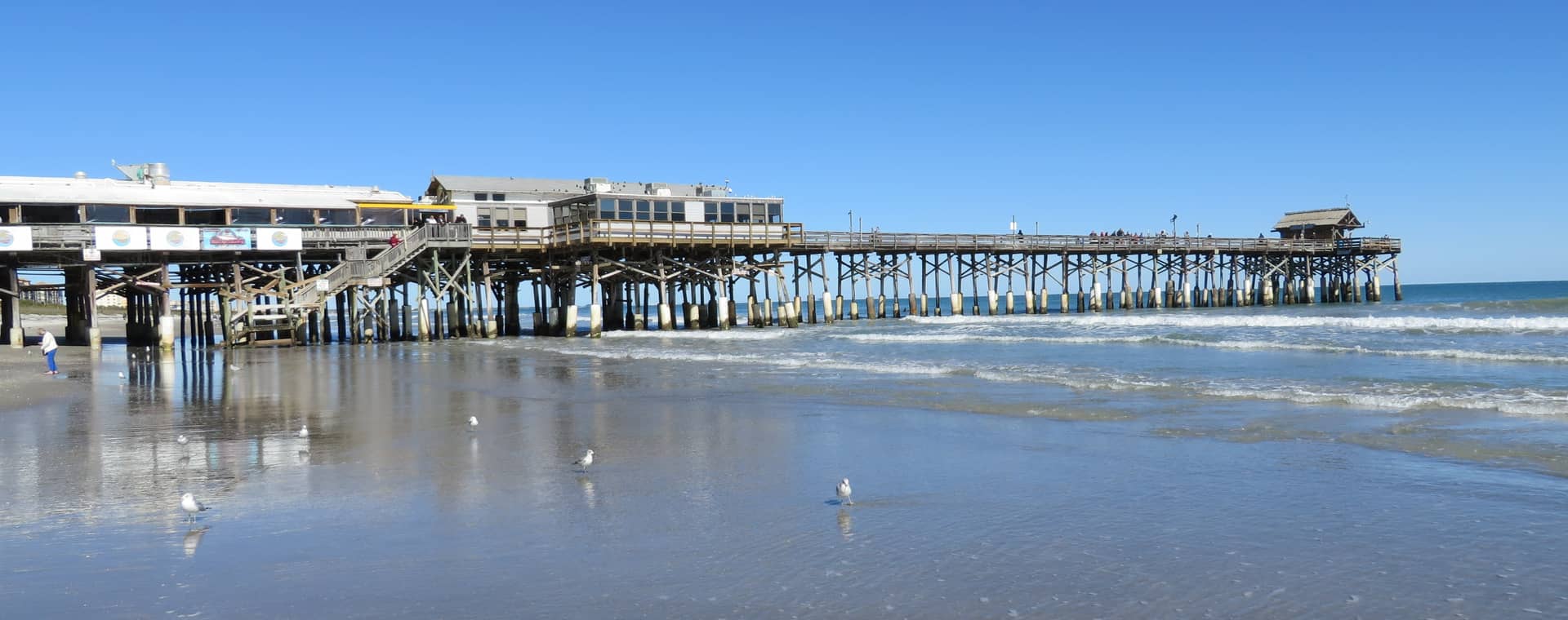 State Pulls $1.4 Million Transit Grant, Leaving Brevard's Beachside Workers Without a Ride