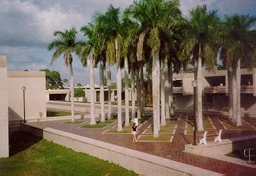 New College to Absorb USF's Sarasota Campus as Florida Reshapes Higher Education Funding