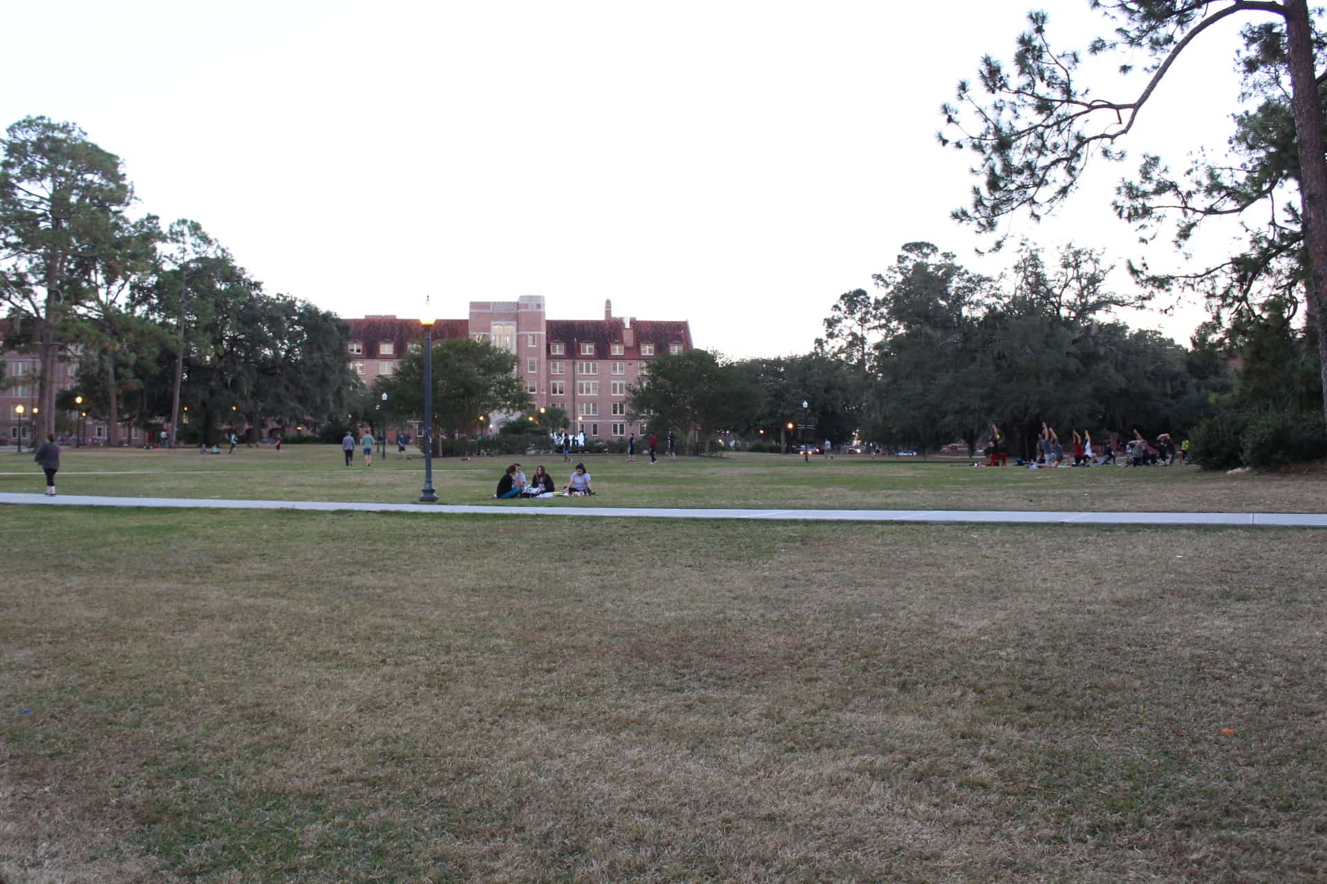 Florida Public Universities to Bar Undocumented Students Starting in 2027-28