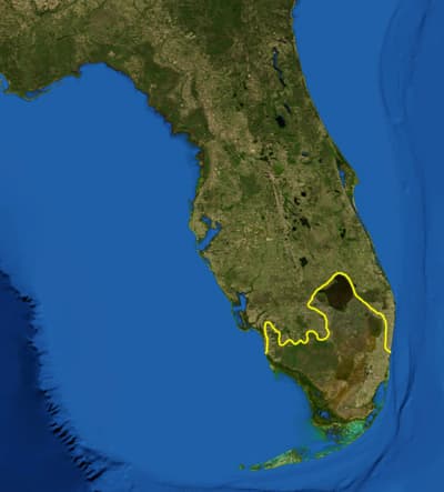 Florida's Immigration Crackdown Hits Crossroads as 'Alligator Alcatraz' Faces Closure
