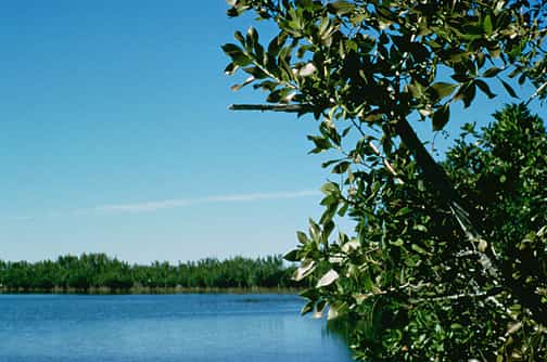 Everglades 'Alligator Alcatraz' Detention Center Closes as Demobilization Begins