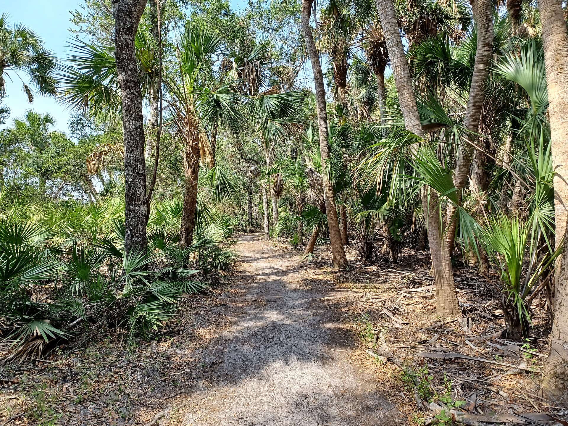Manatee, Sarasota and five other Florida counties vote Tuesday on taxes to protect land from development