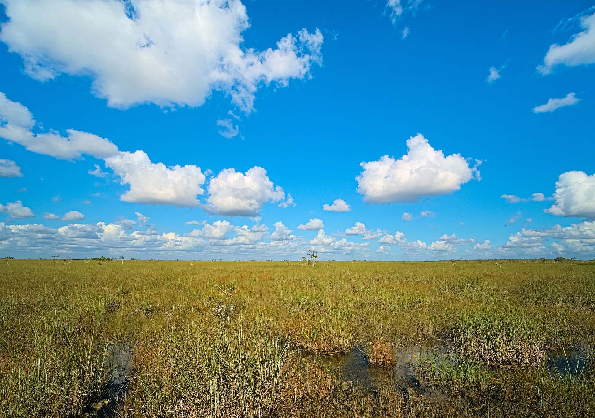 Everglades Restoration Reaches a Milestone Year as Scientists Complete Biennial Review