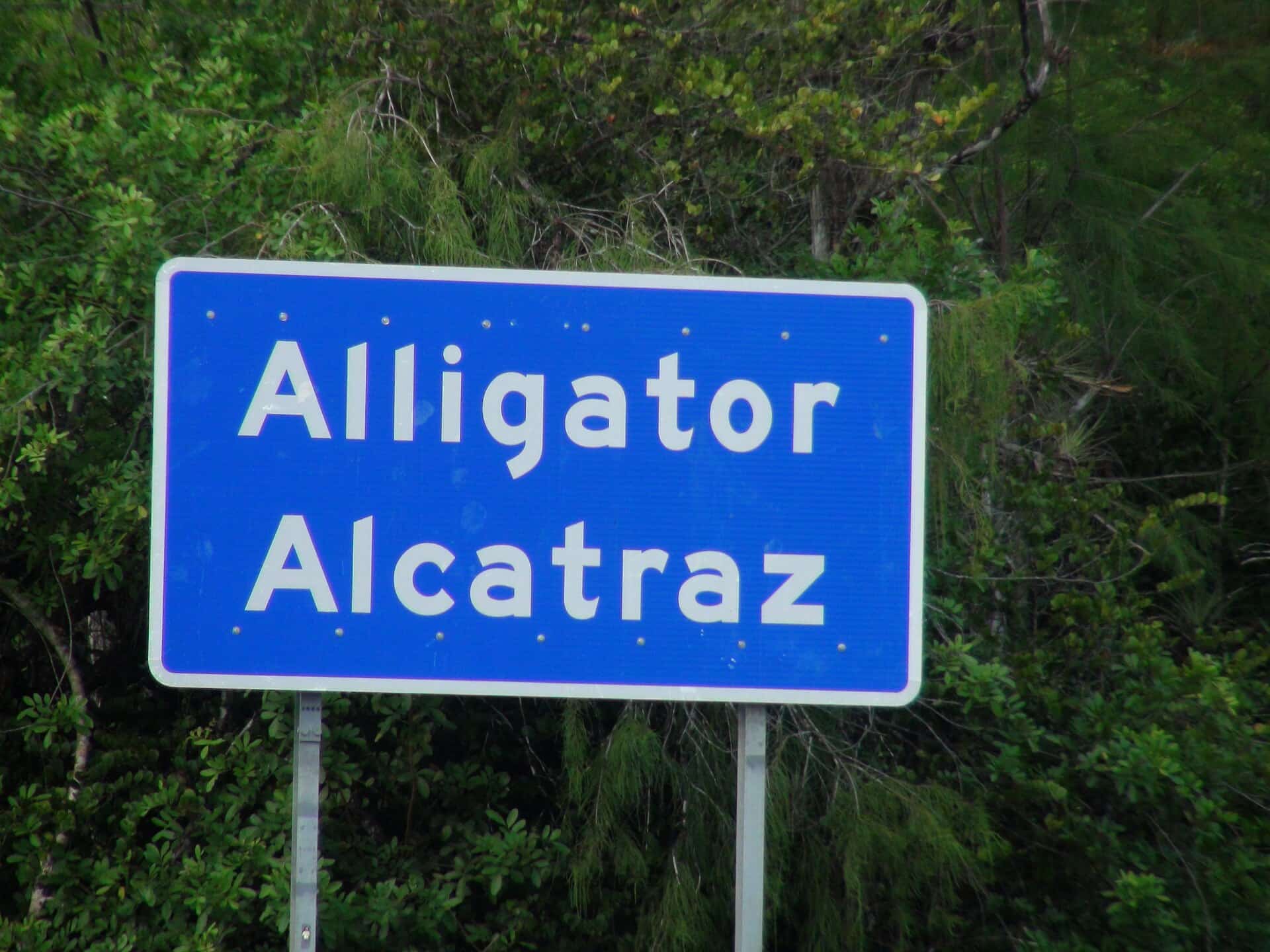 Alligator Alcatraz Emptied as ICE Moves Detainees Out Before Hurricane Season