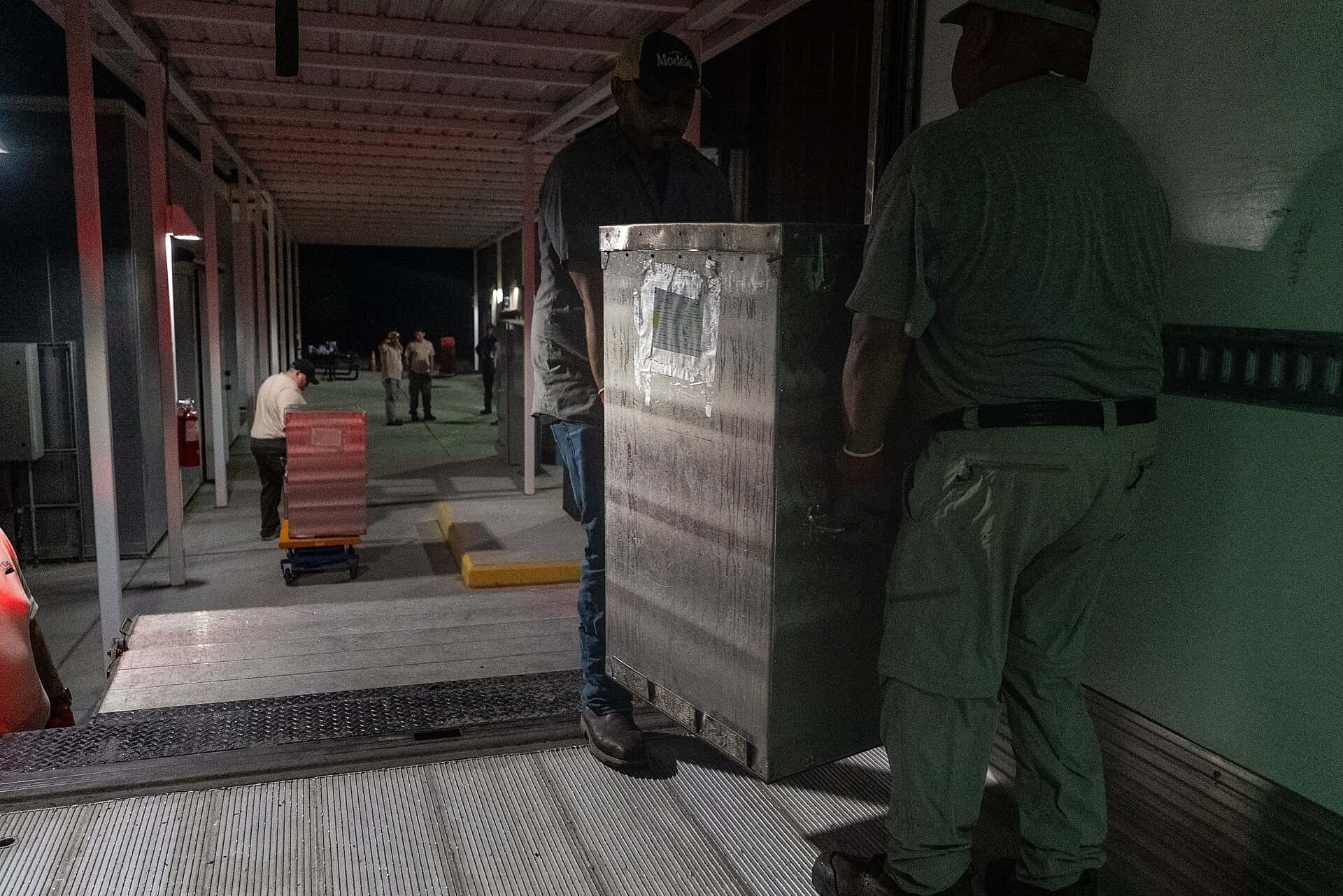 Florida Expands Screwworm Emergency Rules as Flesh-Eating Parasite Spreads Closer