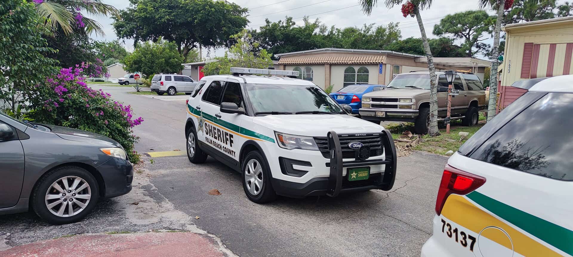 FDLE Investigation Leads to Arrests of Five Sexual Offenders Across Florida