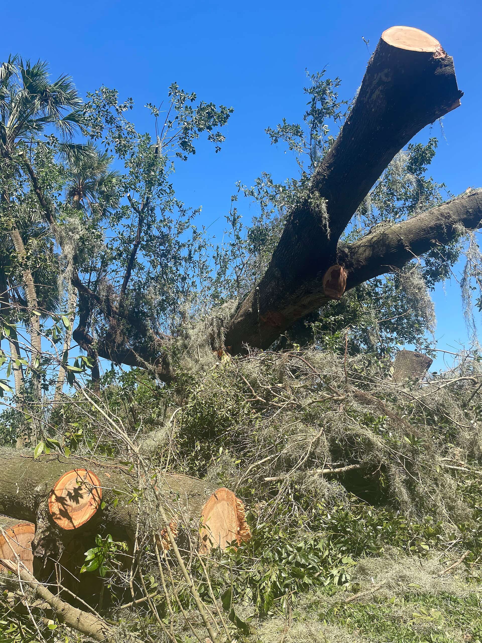FEMA Disaster Fund Runs Tight as Florida Enters Peak Hurricane Season