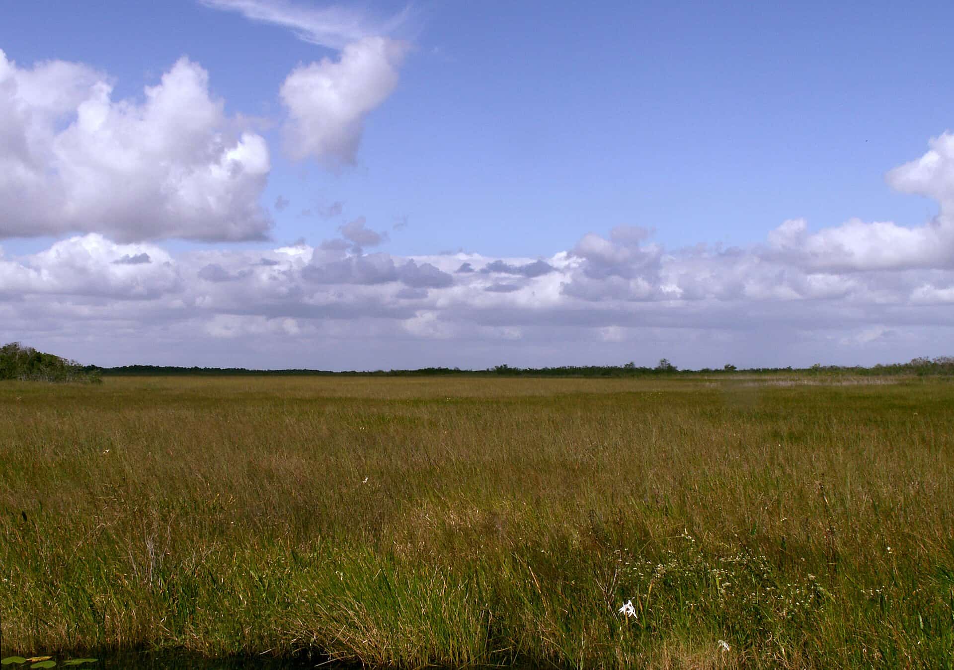 Everglades Restoration Passes Its 11th Scientific Review With Storage Gains and an Unsolved Phosphorus Problem