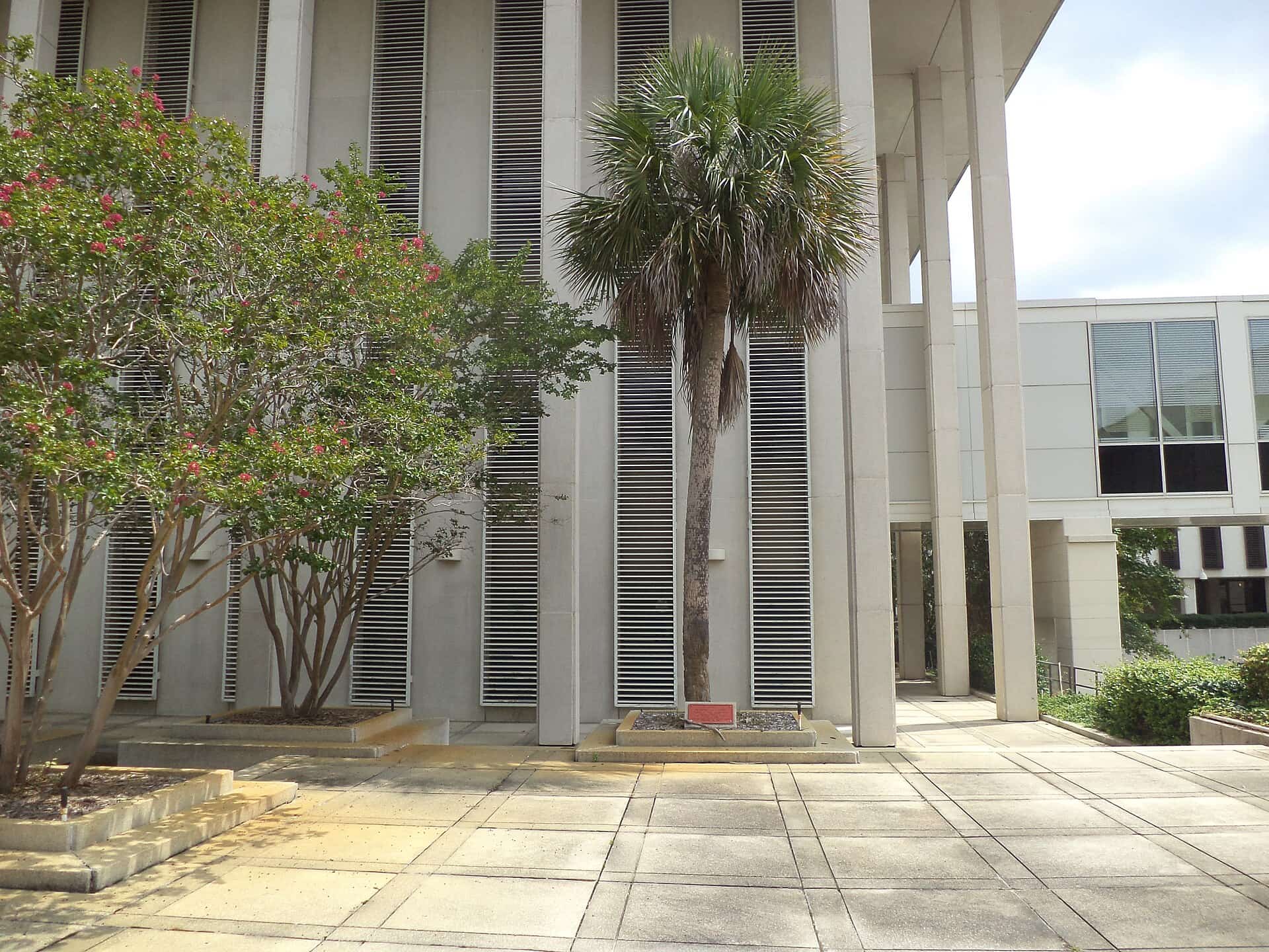 Florida Primary Election Day: Polls Open Statewide as Voters Pick November Nominees