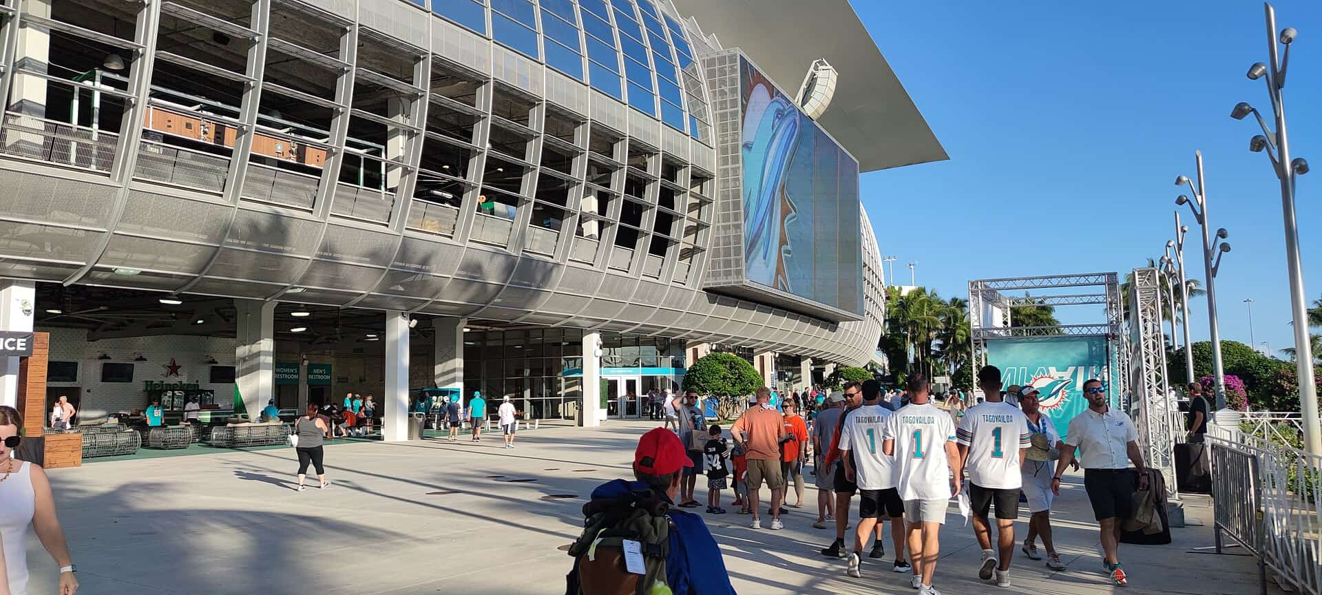 Dolphins Open a New Era at Quarterback as Camp Winds Down