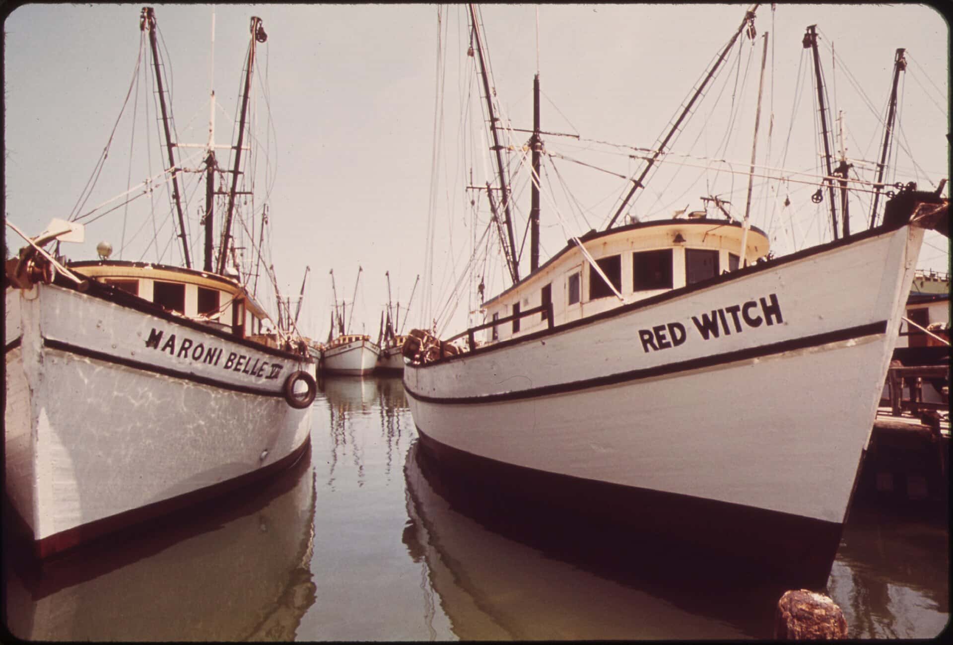 Canada's Retaliatory Tariffs Take Effect, and Florida Seafood Is on the List