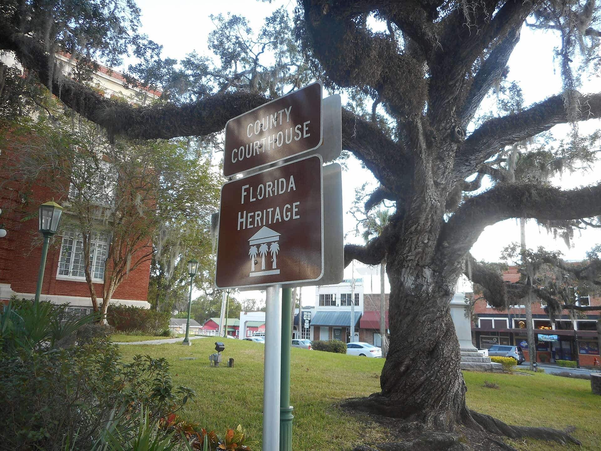 Sumter Detective Arrested Over Database Misuse as Sheriff Suspends Flock