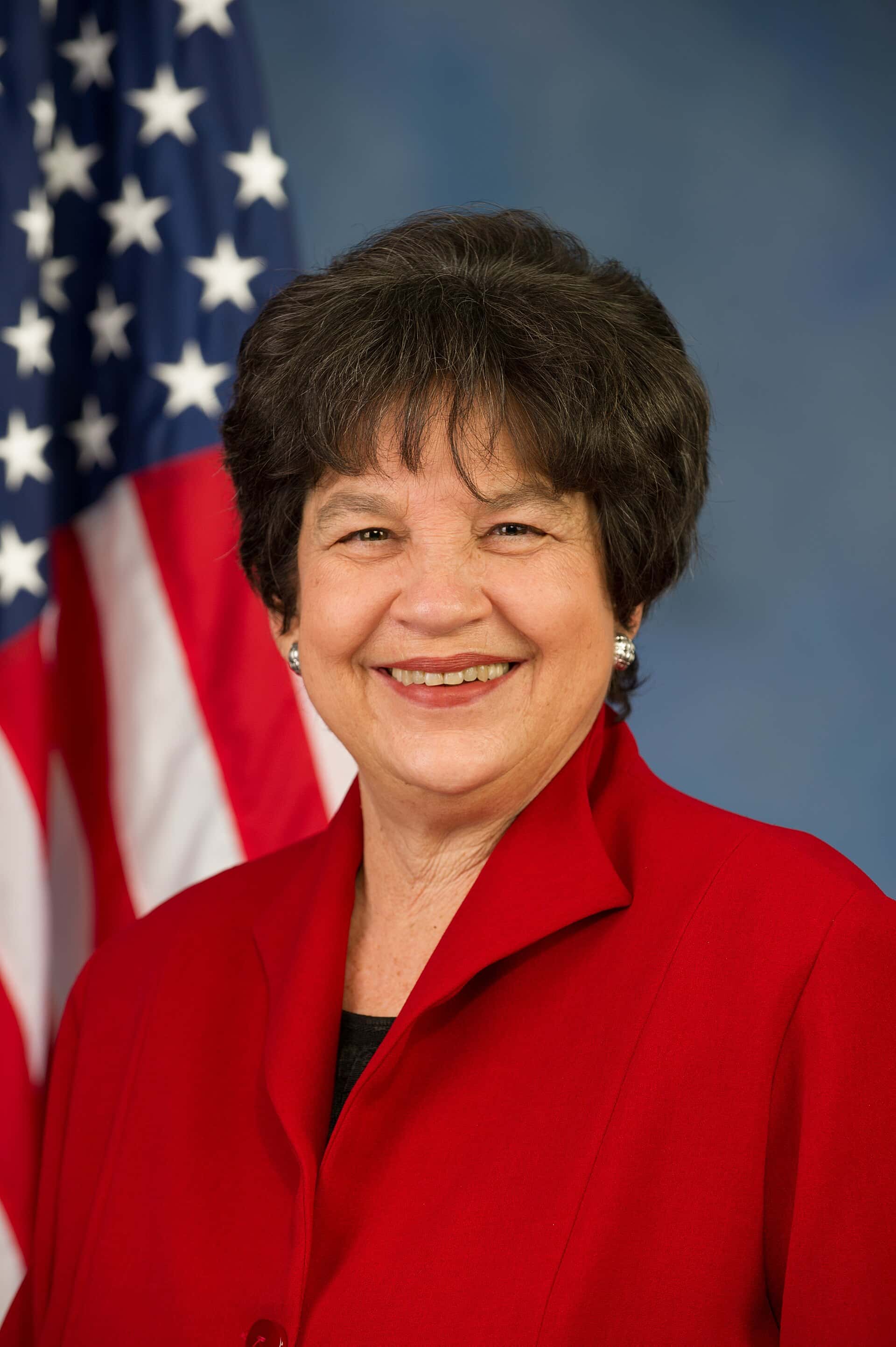 Lois Frankel Faces Republican Deborah Adeimy in Palm Beach County's Redrawn 23rd District, a Safe Seat Under DeSantis's New Map