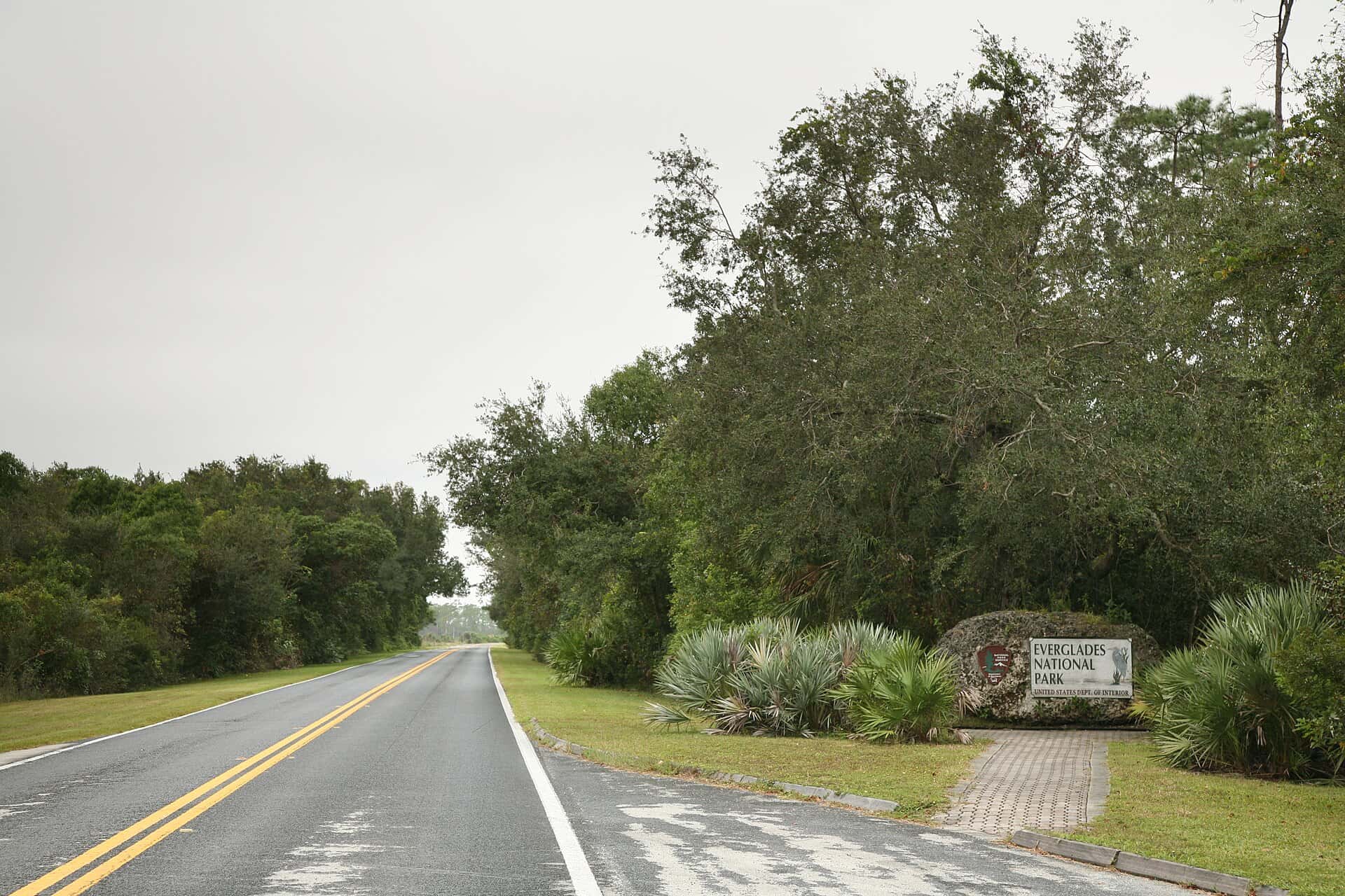 Congress Advances $446 Million for Everglades Restoration